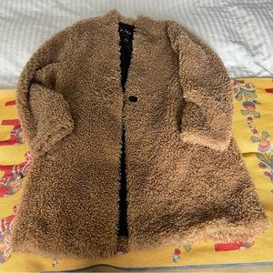 Zara Teddy Coat